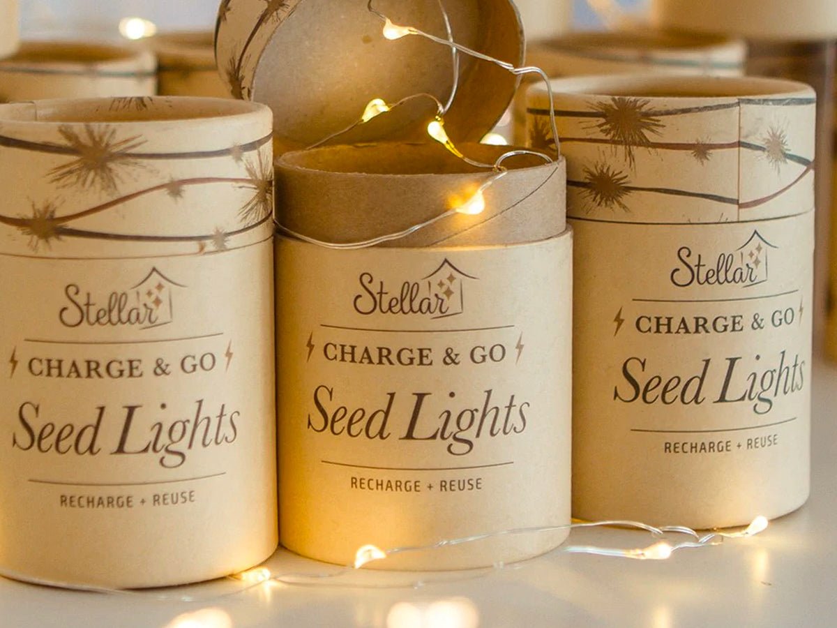 Charge & Go Seed Lights